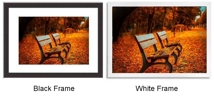 Select Your Frame Select Your Frame
